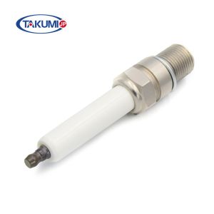 Quality Engine Spark Plug 1205634 P603 for 6 series 620 616 624 gas engines for sale