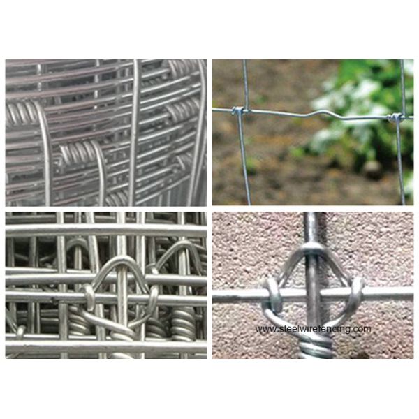 Grassland Cattle Wire Fence For Ranch , Australia Style Hinge joint Knot