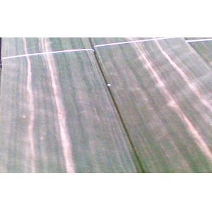 Natural Ebony Quarter Cut Veneer For Furniture And Plywood