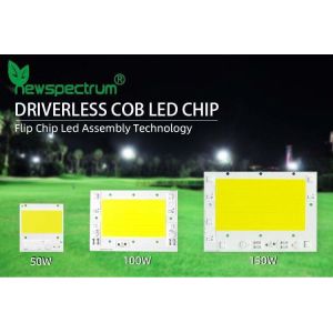 No Drive High Power Cob Led Chip On Board For Led Flood Light