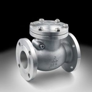 Swing Type Check Valve