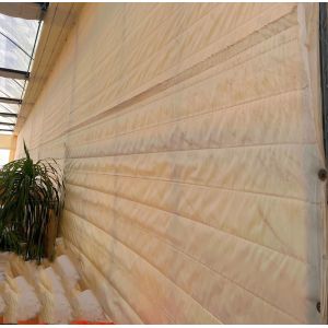 Transform Your Farming Experience with Tomato Cucumber Strawberry Hydroponics