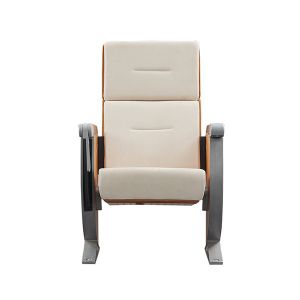 Beech Wood Color High School Auditorium Seating