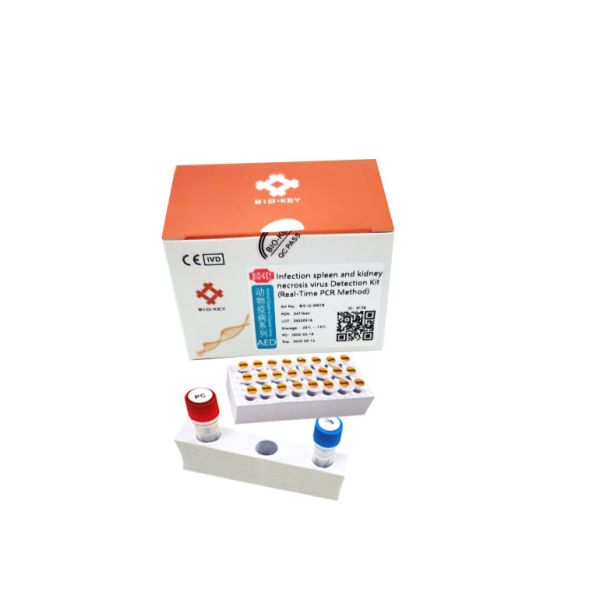 Infectious Myonecrosis Virus Dna Amplification Kit IMNV Nucleic Acid Detection