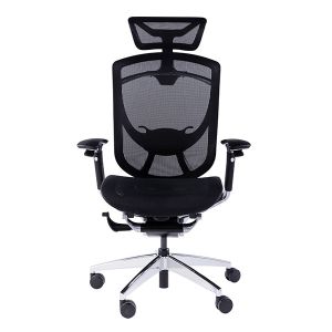 Headrest Adjustable IFIT Office Chair Ergonomic Desk Chair High Back Swivel