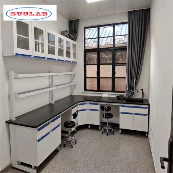 Buy As Drawing Chemistry Lab Workbench with Number of Holes Compartments and Shelves at wholesale prices