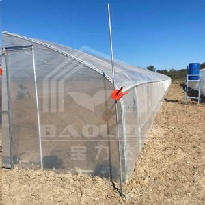 Economical Tunnel Greenhouse with Side Ventilation for Plant Growth