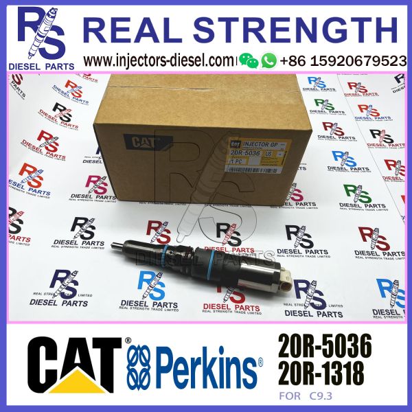 C9.3 Engine Spare Parts Fuel Injector 456-3493 20R-5036