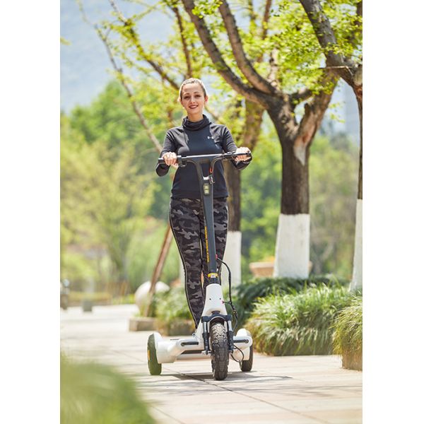 Buy Aviation Magnesium Alloy 2h Charging Smart Kick Scooter at wholesale prices