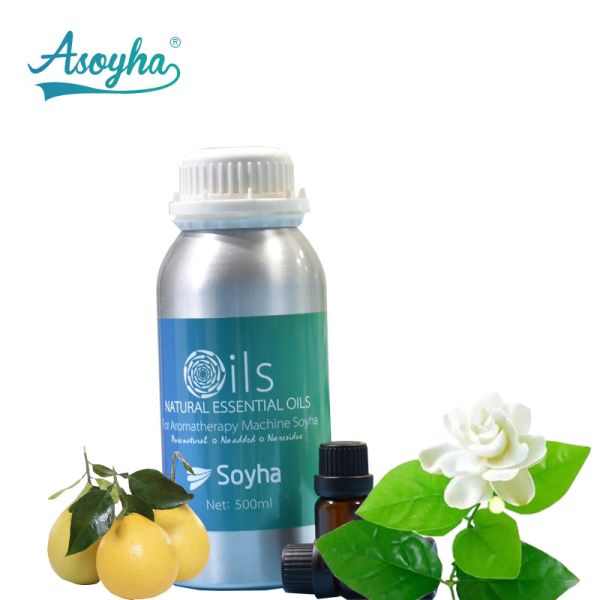 Buy Innovative Jasmine Fragrance Plant Essential Oil With 2 Years Shelf Life at wholesale prices