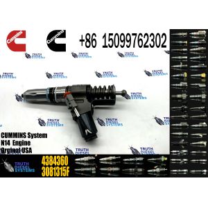 China Diesel Common Rail Fuel Injector Assembly 4307516 3087560 3080931F 3087558F 4307795 4384360 for Cum-mins N14 engine on sale