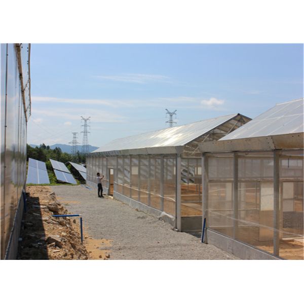Roof Mounted Greenhouse Solar System Photovoltaic Power Plants Agricultural