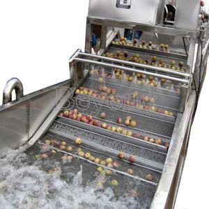 SUS304 10TPH Fruit Vegetable Washing Machine Stepless Shift