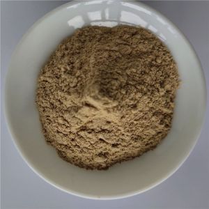 Best Selling Products Codonopsis Pilosula Extract