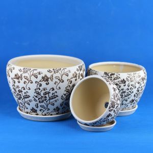 Transform Your Garden With Our Stylish And Durable Ceramic Pots Shop Now