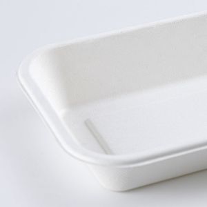 Biodegradable Sugarcane Bagasse Takeaway Food Tray with Lid