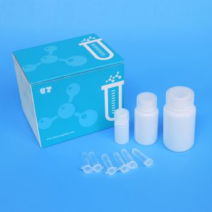 OEM PCR Nucleic Acid Purification Kit For Laboratory Detection