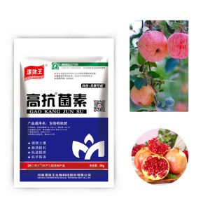 Nitrogen Phosphorus Potassium Blended Fertilizer Amino Humic Acid Pearl