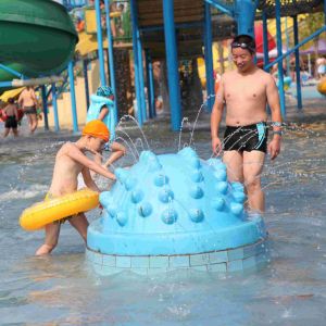 Spray Aqua Park Equipment Hedgehog Shaped Water Playground With Raining
