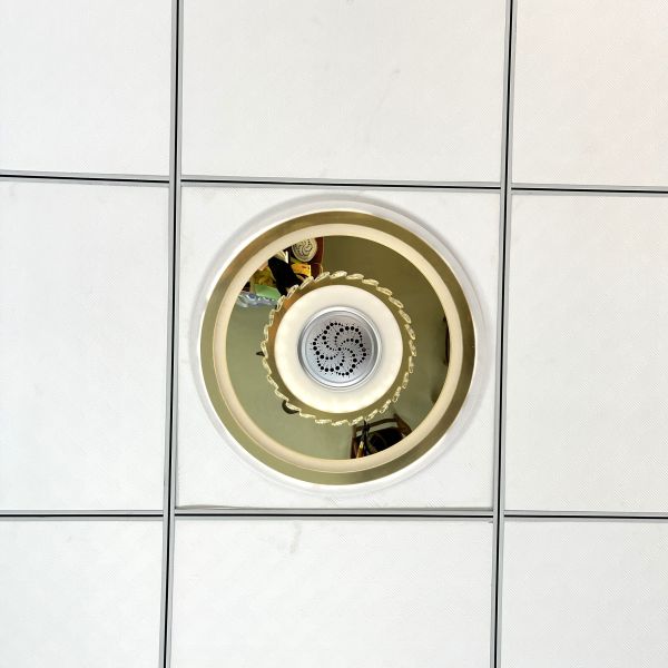 DC12V 8KV Output Ionization Module with 20million ions/cc for Ceiling Light Air