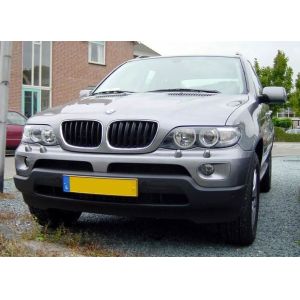 63117166804 Headlight for BMW X5 (E53)