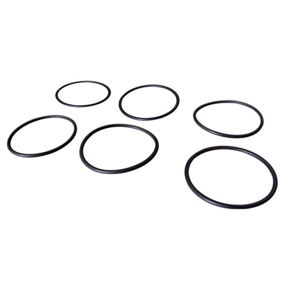 Buy Mercedes BENZ Truck Parts A0239976448 Single Pump Oil Seal Upper O Ring Seal at wholesale prices