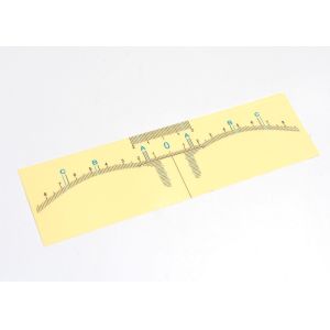 Disposable Transparent Adhesivepermanent makeup eyebrow ruler for PMU Microbladi