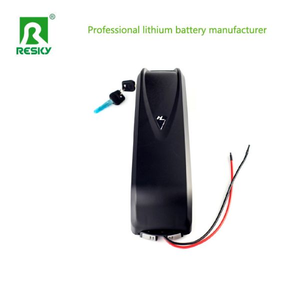 Hailong Li-ion Lithium Ion Ebike Battery 36V13ah