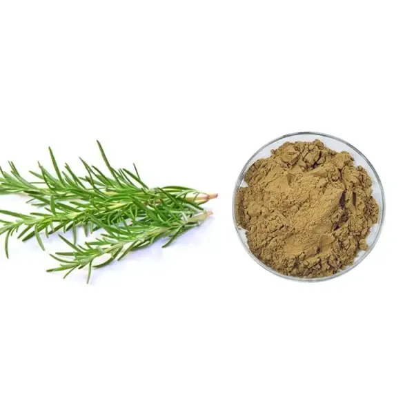 Rosemary powder Rosemary powder