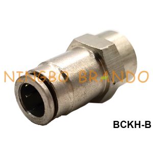 Brass Female Straight Quick Push On Connect Pneumatic Hose Fitting 1/8 1/4 3/8 1/2