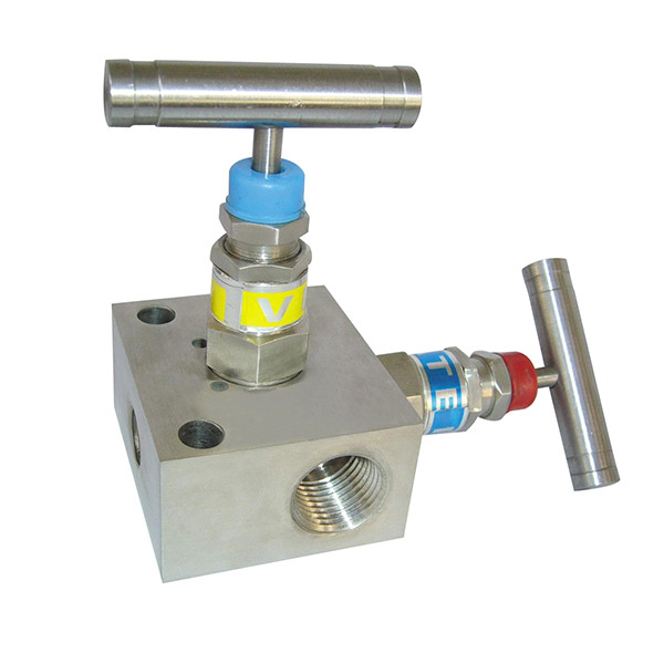 Buy 1/4 BSP 6000 Psi 200℃ Multi Instruments Manifolds Two Valve Manifold PTFE at wholesale prices