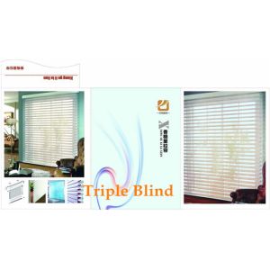 fashion day night zebra roller blind