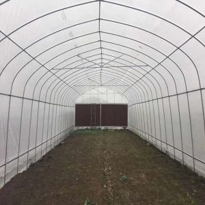 Galvanized PE Film Single Span Greenhouse For Vegetables 9x30m