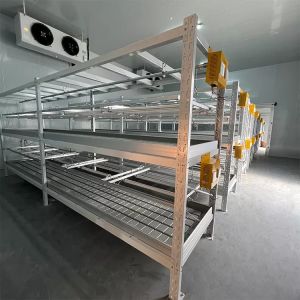 Hydroponic Multi Layer Vertical Grow Shelf System ABS Cover