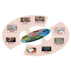 Quality AGV RGV Logistics Software Systems OEM Intelligent Distribution System for sale