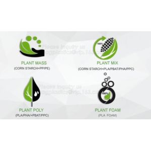 100% Biodegradable and compostable sugarcane pulp packaging disposable paper