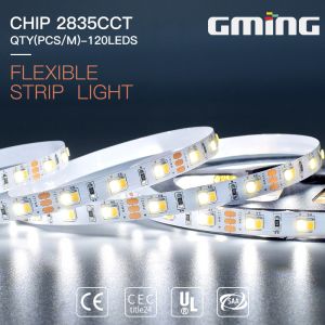 Color Changing 3000lm 31W 2835 Led Strip Lights 12mm pcb