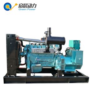 Bio Gas Generator Methane Generator for Farms