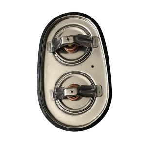 China Cooling System Thermostat SCANIA Truck Parts 1404924/2475974 Engine Parts on sale