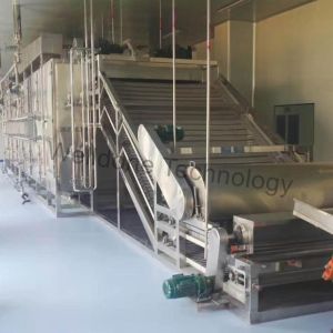 GMP Standard Fast Speed Fruit Vegetable Belt Dryer