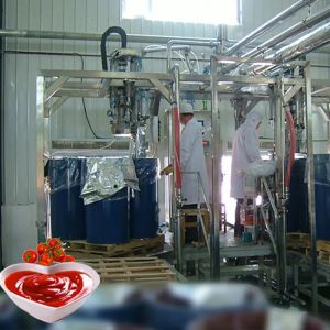 customized cpmplete Tomato processing Line In China tomato sauce process machine