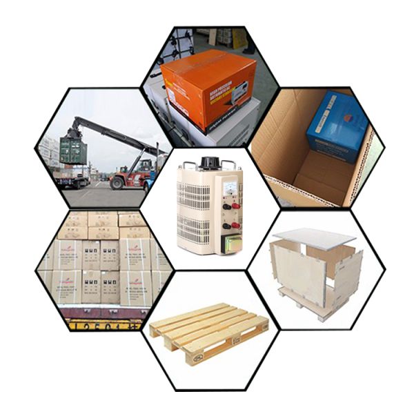 Single Phase AC 3kva Variac Analog Meter Display TDGC2-2 Voltage Regulator