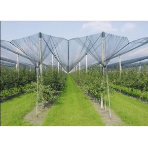 Quality Agriculture Anti Hail Nets for sale
