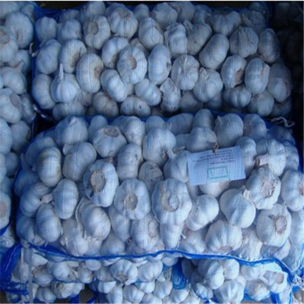 Buy GARLIC WITH 10KG MESHBAG PACKAGE at wholesale prices