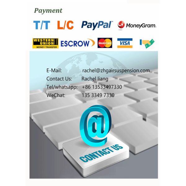 Air Suspension compressor with bracket for BMW 7 Series F02