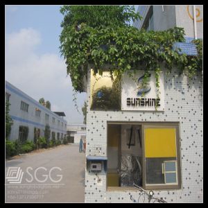 Shenzhen glass factory experienced on romania market