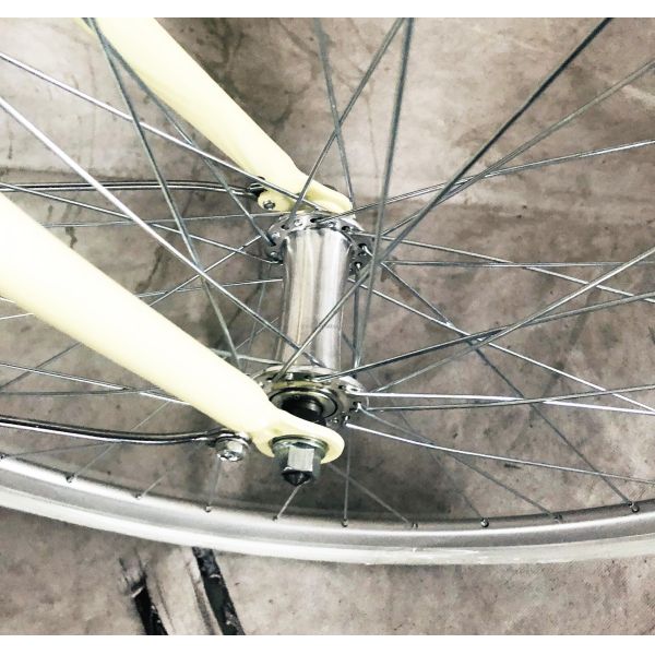 26" Lady City Bike with Hi-Ten Steel Frame Coaster Brake Rear Rack and OEM/ODM Options