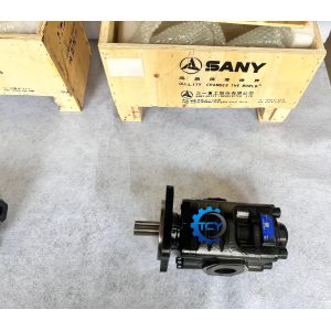 150107010038B Hydraulic Pump Assy 150107010039B Gear Pump for SW955 Sany Wheel