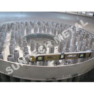 Quality 904L High Alloy Climbing Film Evaporator for sale