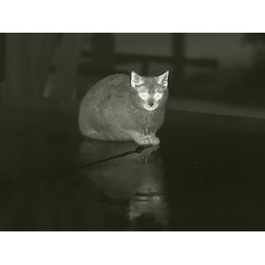 1280x960 640x48 Military WiFi Handheld Thermal Infrared Monocular